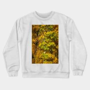 This Is My Best Side Crewneck Sweatshirt